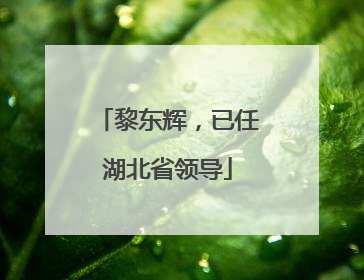 黎东辉，已任湖北省领导