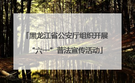 黑龙江省公安厅组织开展“六一”普法宣传活动