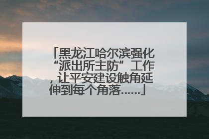 黑龙江哈尔滨强化“派出所主防”工作，让平安建设触角延伸到每个角落……