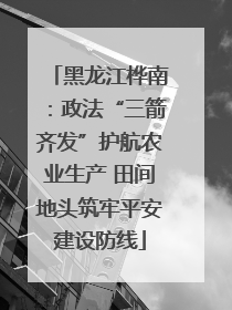 黑龙江桦南：政法“三箭齐发”护航农业生产 田间地头筑牢平安建设防线
