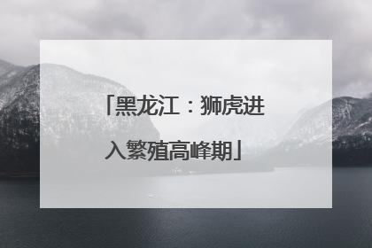 黑龙江：狮虎进入繁殖高峰期