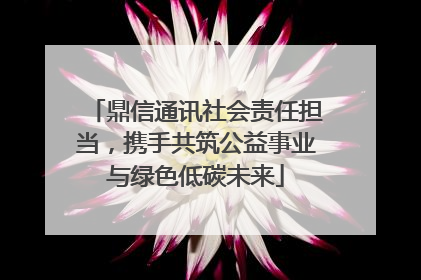 鼎信通讯社会责任担当，携手共筑公益事业与绿色低碳未来