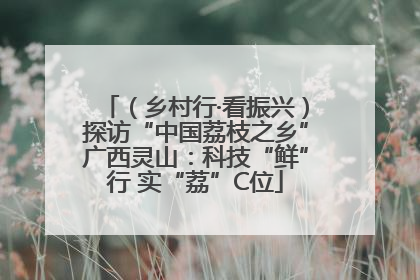 （乡村行·看振兴）探访“中国荔枝之乡”广西灵山：科技“鲜”行 实“荔”C位