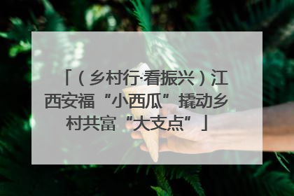 （乡村行·看振兴）江西安福“小西瓜”撬动乡村共富“大支点”