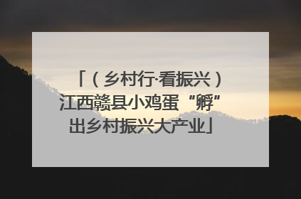 （乡村行·看振兴）江西赣县小鸡蛋“孵”出乡村振兴大产业