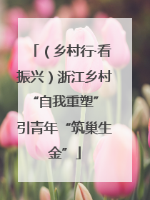（乡村行·看振兴）浙江乡村“自我重塑” 引青年“筑巢生金”