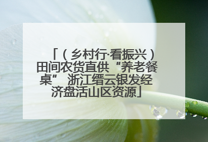 （乡村行·看振兴）田间农货直供“养老餐桌” 浙江缙云银发经济盘活山区资源
