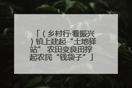（乡村行·看振兴）镇上建起“土地驿站” 农田变良田撑起农民“钱袋子”