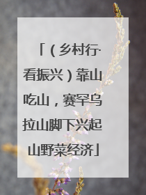 （乡村行·看振兴）靠山吃山，赛罕乌拉山脚下兴起山野菜经济