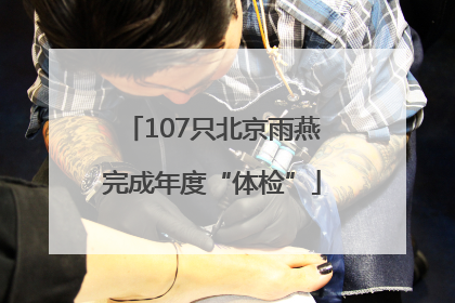 107只北京雨燕完成年度“体检”
