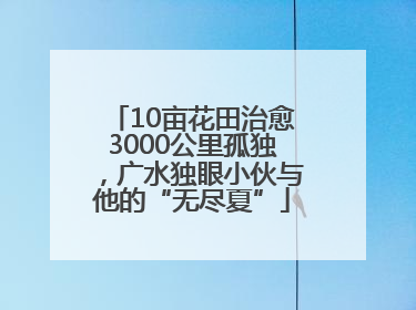 10亩花田治愈3000公里孤独，广水独眼小伙与他的“无尽夏”