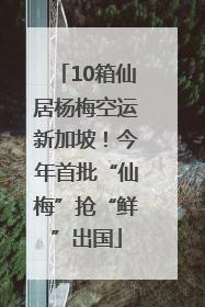 10箱仙居杨梅空运新加坡！今年首批“仙梅”抢“鲜”出国