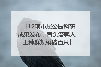 12项市属公园科研成果发布，青头潜鸭人工种群规模破百只