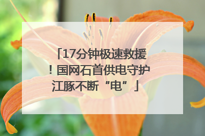 17分钟极速救援！国网石首供电守护江豚不断“电”