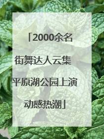 2000余名街舞达人云集 平原湖公园上演动感热潮