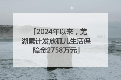 2024年以来，芜湖累计发放孤儿生活保障金2758万元