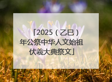 2025（乙巳）年公祭中华人文始祖伏羲大典祭文