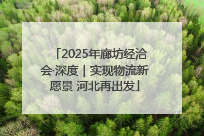 2025年廊坊经洽会·深度｜实现物流新愿景 河北再出发