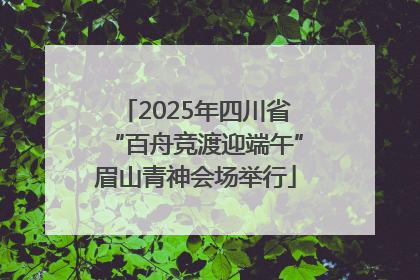 2025年四川省“百舟竞渡迎端午”眉山青神会场举行