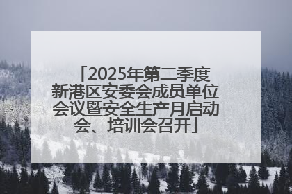 2025年第二季度新港区安委会成员单位会议暨安全生产月启动会、培训会召开