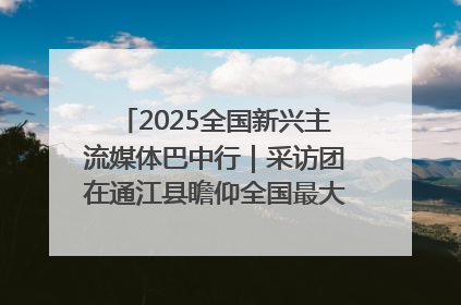 2025全国新兴主流媒体巴中行｜采访团在通江县瞻仰全国最大红军烈士陵园