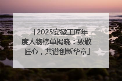 2025安徽工匠年度人物榜单揭晓：致敬匠心，共谱创新华章