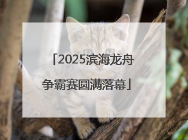 2025滨海龙舟争霸赛圆满落幕