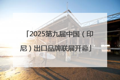 2025第九届中国（印尼）出口品牌联展开幕