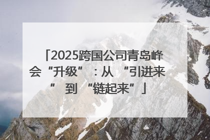 2025跨国公司青岛峰会“升级”：从 “引进来” 到 “链起来”