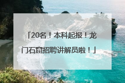 20名！本科起报！龙门石窟招聘讲解员啦！