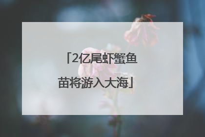 2亿尾虾蟹鱼苗将游入大海