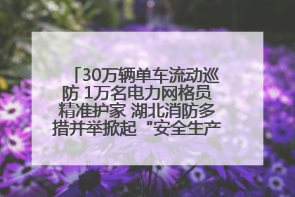 30万辆单车流动巡防 1万名电力网格员精准护家 湖北消防多措并举掀起“安全生产月”宣传热潮