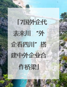 7国外企代表来川 “外企看四川”搭建中外企业合作桥梁