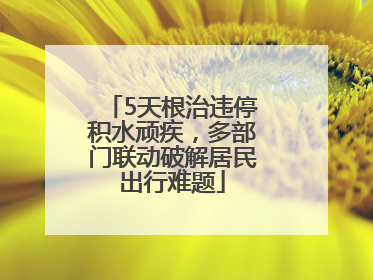 5天根治违停积水顽疾，多部门联动破解居民出行难题