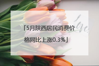 5月陕西居民消费价格同比上涨0.3%