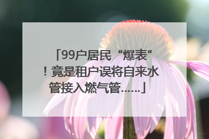 99户居民“爆表”！竟是租户误将自来水管接入燃气管……