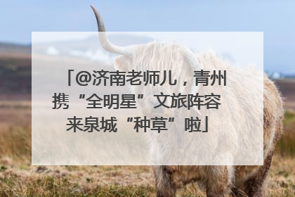 @济南老师儿，青州携“全明星”文旅阵容来泉城“种草”啦