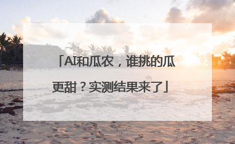 AI和瓜农，谁挑的瓜更甜？实测结果来了