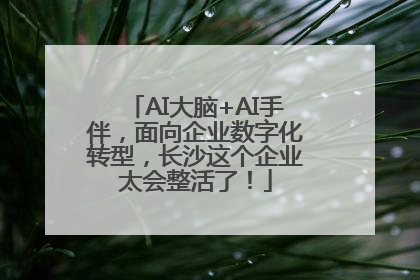 AI大脑+AI手伴，面向企业数字化转型，长沙这个企业太会整活了！