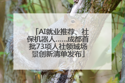 AI就业推荐、社保机器人……成都首批73项人社领域场景创新清单发布