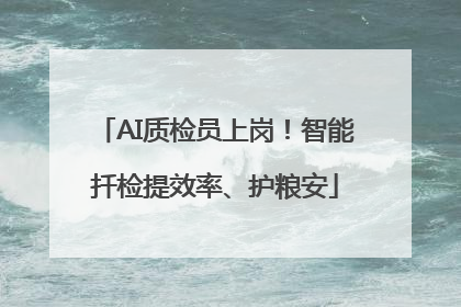AI质检员上岗！智能扦检提效率、护粮安