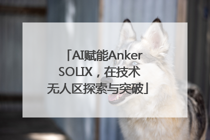 AI赋能Anker SOLIX，在技术无人区探索与突破