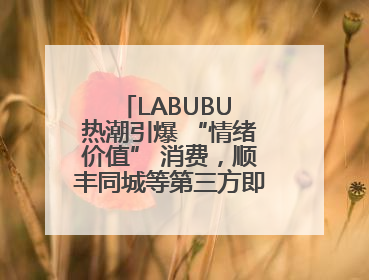 LABUBU 热潮引爆 “情绪价值” 消费，顺丰同城等第三方即配乘风而起
